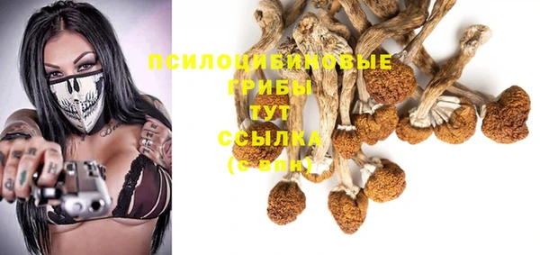 герыч Ладушкин