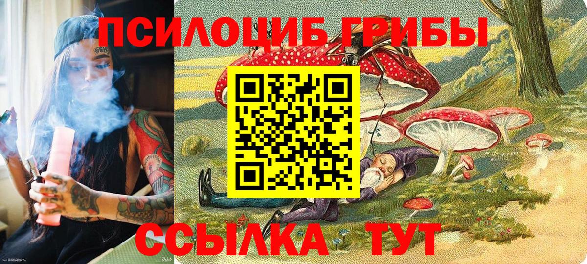 Галлюциногенные грибы MAGIC MUSHROOMS Черняховск